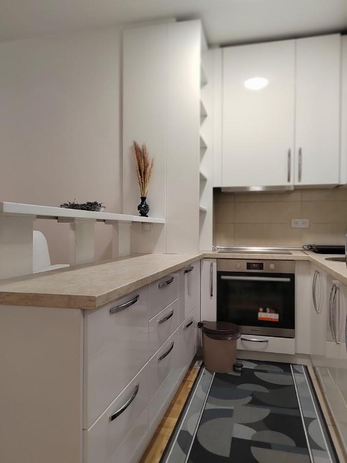 Apartman Mancic Apartment Пирот Екстериор снимка